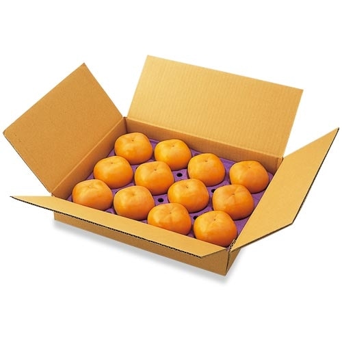 次郎柿 1箱（1玉260g前後×12玉入、総量約3.2kg）