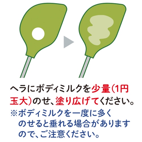 ボディミルク(2個セット) 200mL×2個