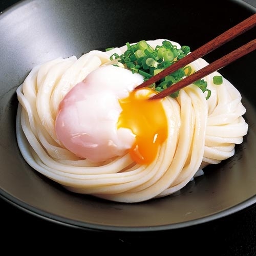 熟成うどん（乾麺／4食分） 1箱（乾麺4食入 つゆ付）