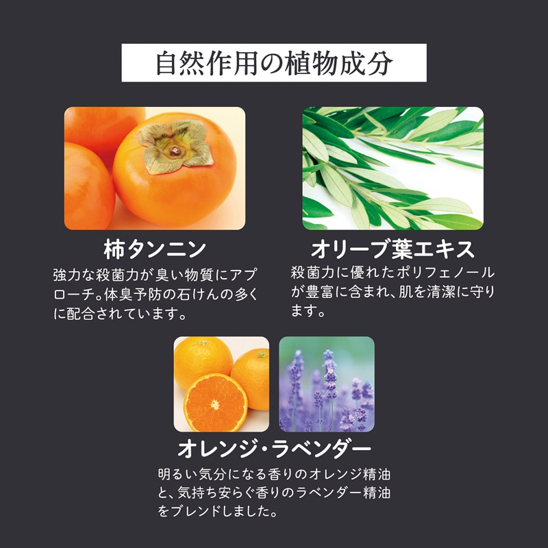 【父の日】お茶パワーをいかした自然派ボディケアセット アロマボディソープ（520ml入）・詰替え用アロマボディソープ（400ml入）