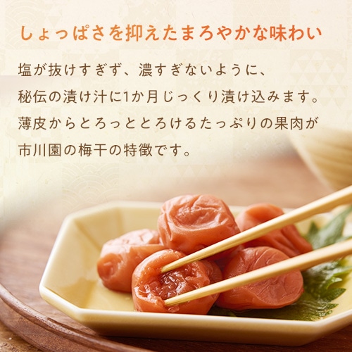 白楽の梅 480g入