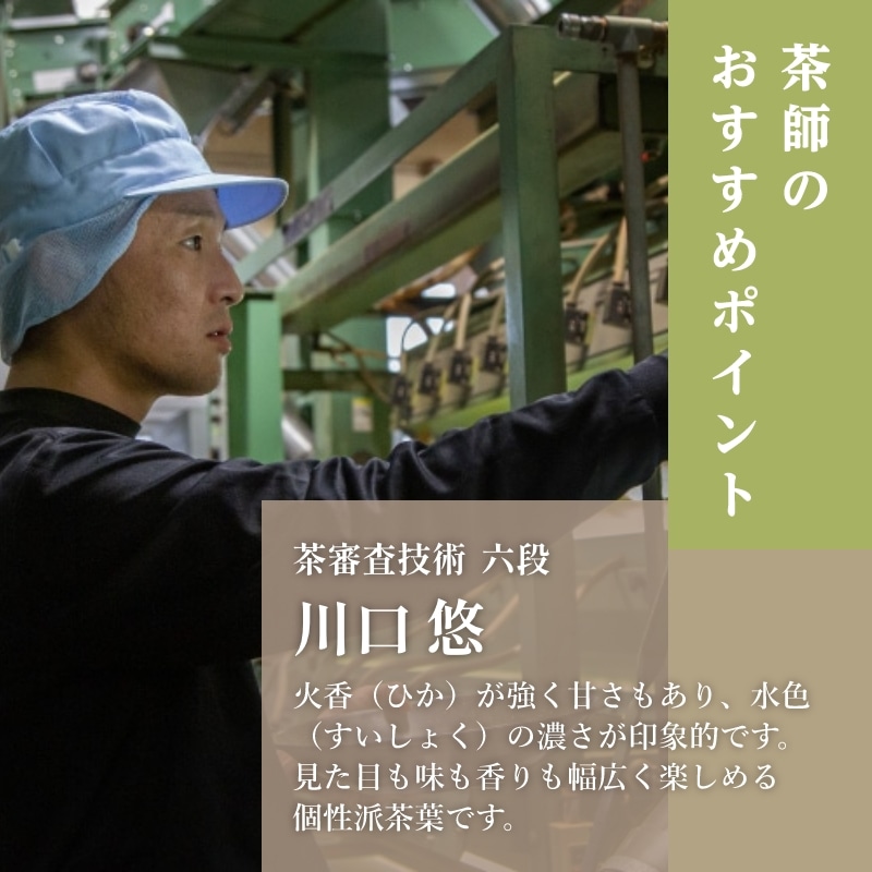 するがじ 100g入