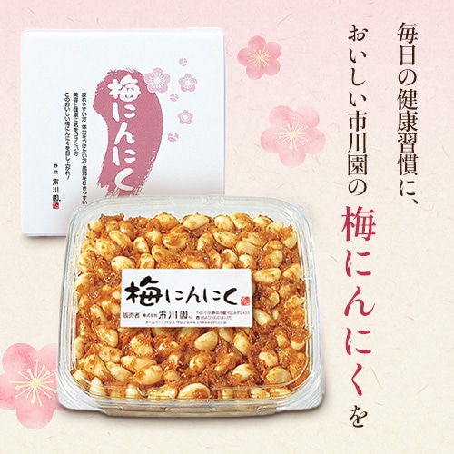 梅にんにく 500g入