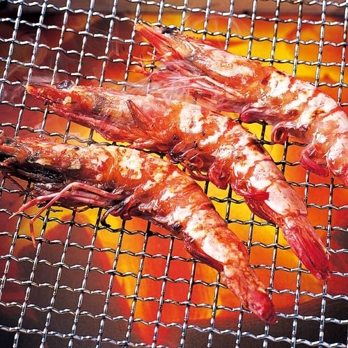 車海老粕漬（12尾） 1箱（20cm前後のもの12尾入）