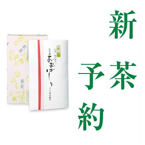おおはしり100g袋たとう（1個箱入）（新茶） 箱入包装（1個入）