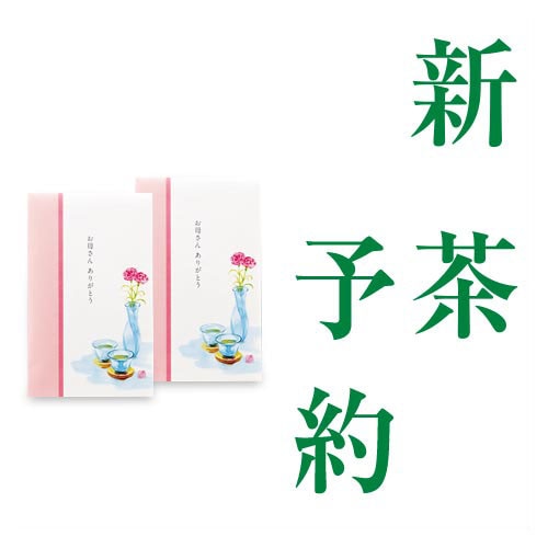 【母の日】上級新茶 カーネーション2個 化粧箱入（抹茶入煎茶80g平袋入×2個）