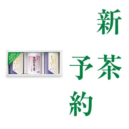 おおはしり100g缶2本（新茶）・大納言羊羹 1箱（100g缶2本・大納言羊羹4個）