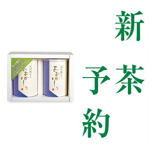 おおはしり100g缶2本（新茶） 1箱（100g缶2本入）