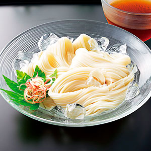 讃岐 手延べそうめん(乾麺/5食分)