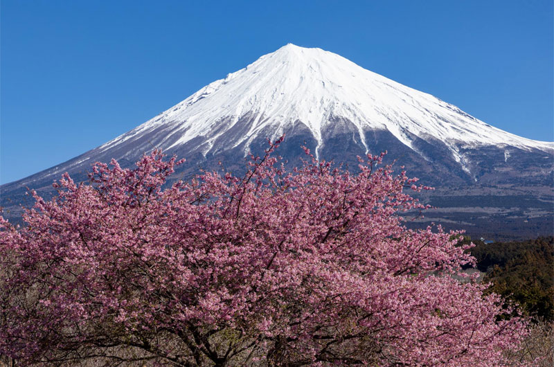 ３月号
