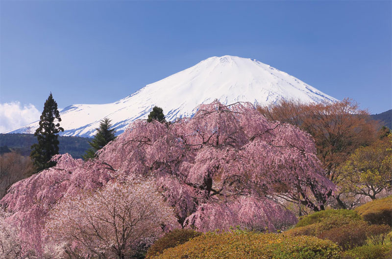 ４月号