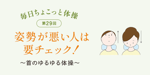 第29回