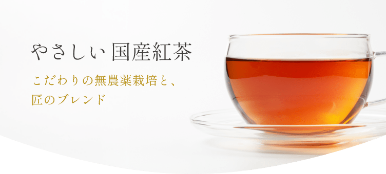 やさしい国産紅茶