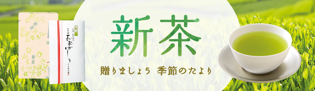 新茶ギフト