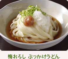 梅おろし ぶっかけうどん