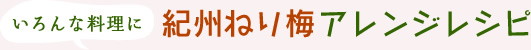 紀州ねり梅アレンジレシピ