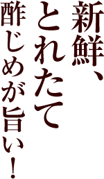 新鮮、とれたて 酢じめが旨い!