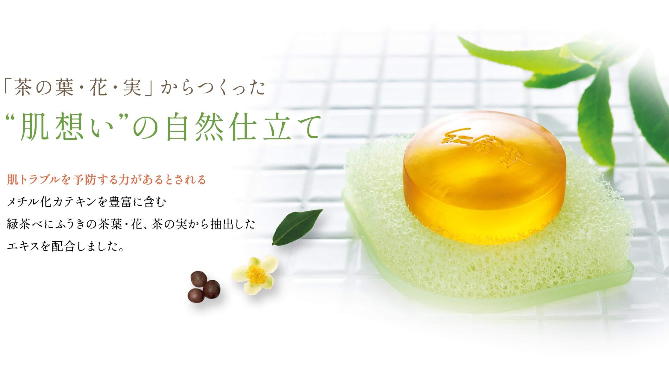 「茶の葉・花・実」からつくった“肌想い”の自然仕立て　肌トラブルを予防する力があるとされるメチル化カテキンを豊富に含む緑茶べにふうきの茶葉・花、茶の実から抽出したエキスを配合しました。