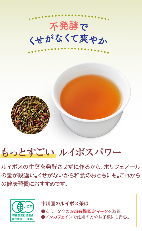 グリーンルイボス茶30（ティーバッグ） 1袋（3g×30個入）の通販｜静岡