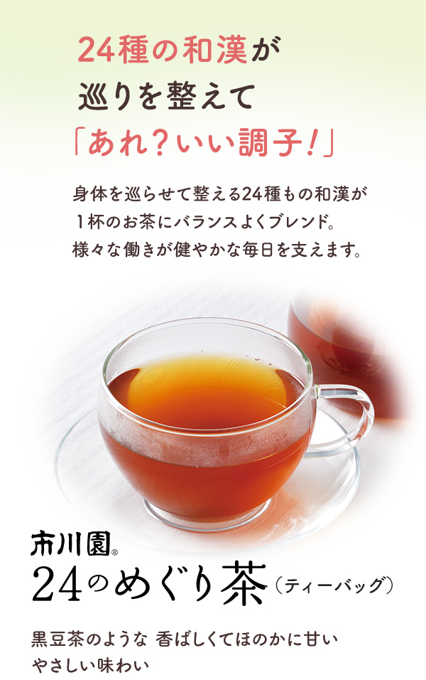エルメス　100g（5g×20個）×10袋　健康長寿のお茶　農家直売 市川園 24のめぐり茶 1袋（4g×30個入）の通販｜静岡茶・日本茶の