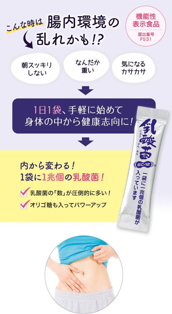 乳酸菌EC-12（6袋・機能性表示食品） 1箱（1g×6袋入）の通販