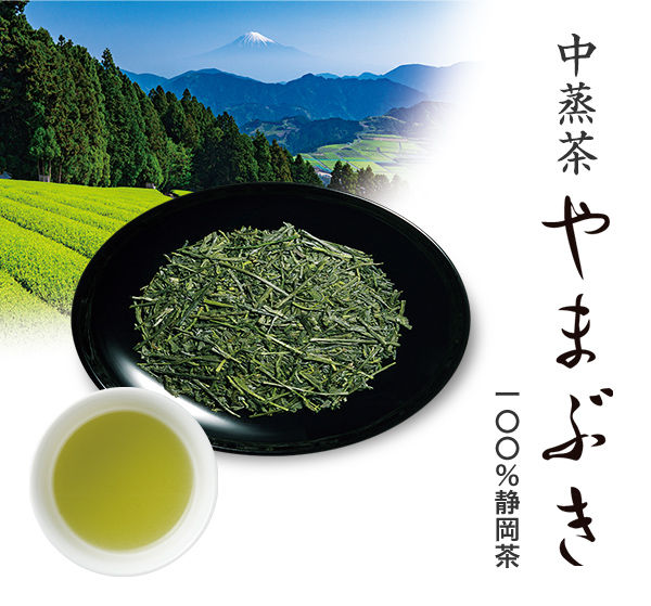 中蒸茶やまぶき 1袋（100g平袋入）の通販｜静岡茶・日本茶の市川園