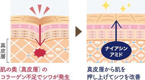 薬用 リンクルクリーム 1本（20g入）の通販｜静岡茶・日本茶の市川園