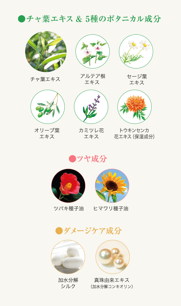 ヘアカラートリートメント（ブラウン）お試し60g 1本（60g、毛染め用