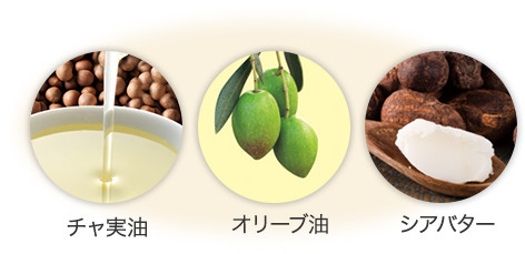 ナチュラルリップクリーム（2本セット） 1箱（4g×2本入）の通販｜静岡