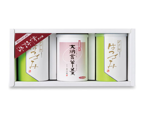 100g缶・大納言羊羹セット