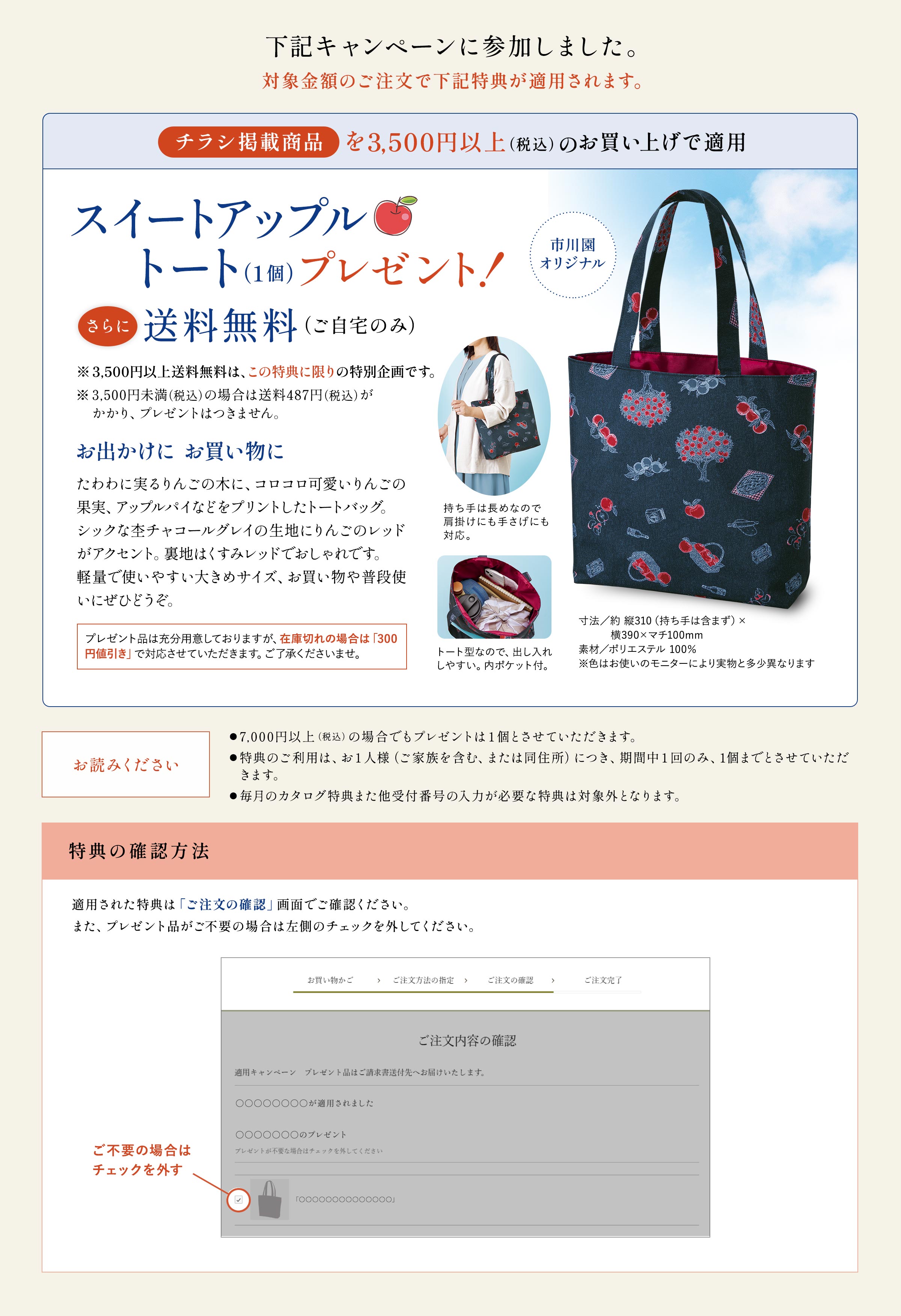 適用キャンペーンの詳細情報