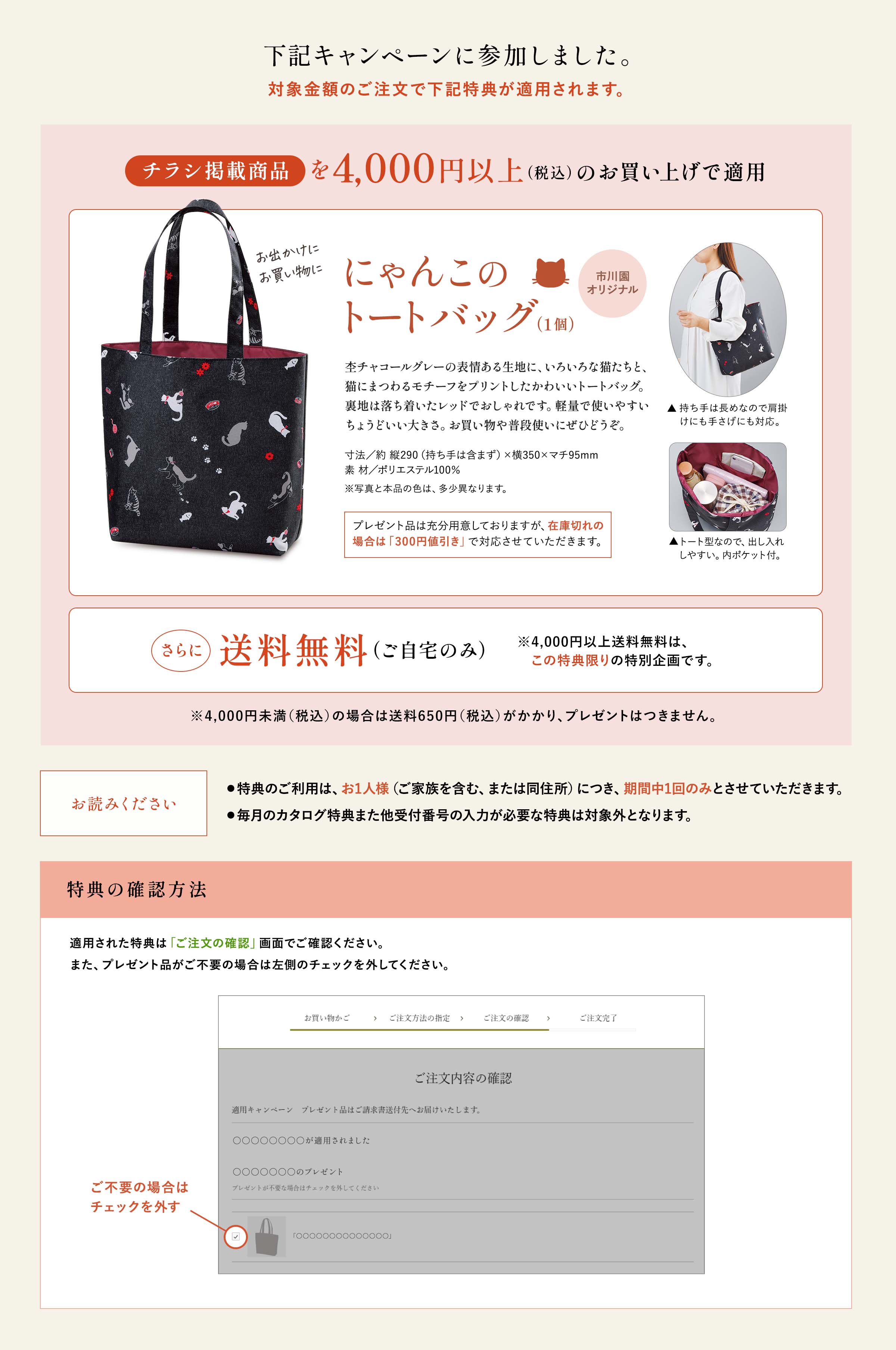 適用キャンペーンの詳細情報