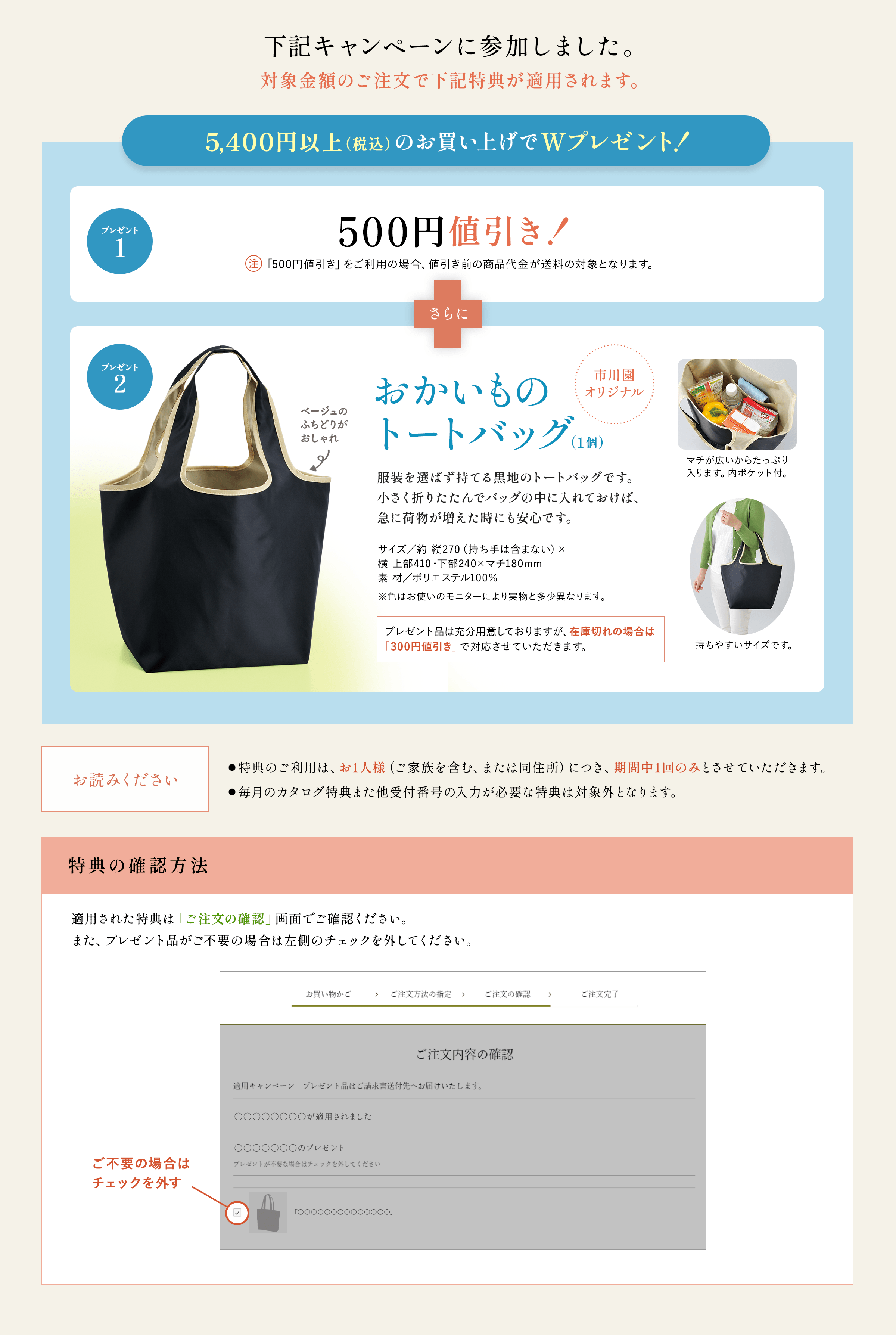 適用キャンペーンの詳細情報