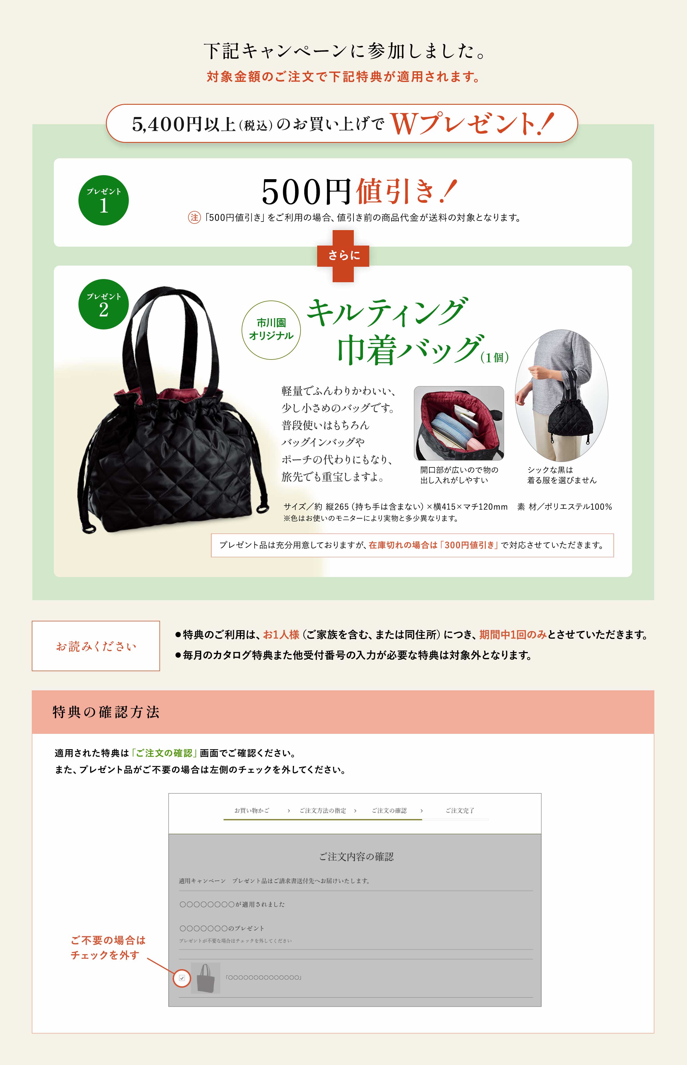 適用キャンペーンの詳細情報