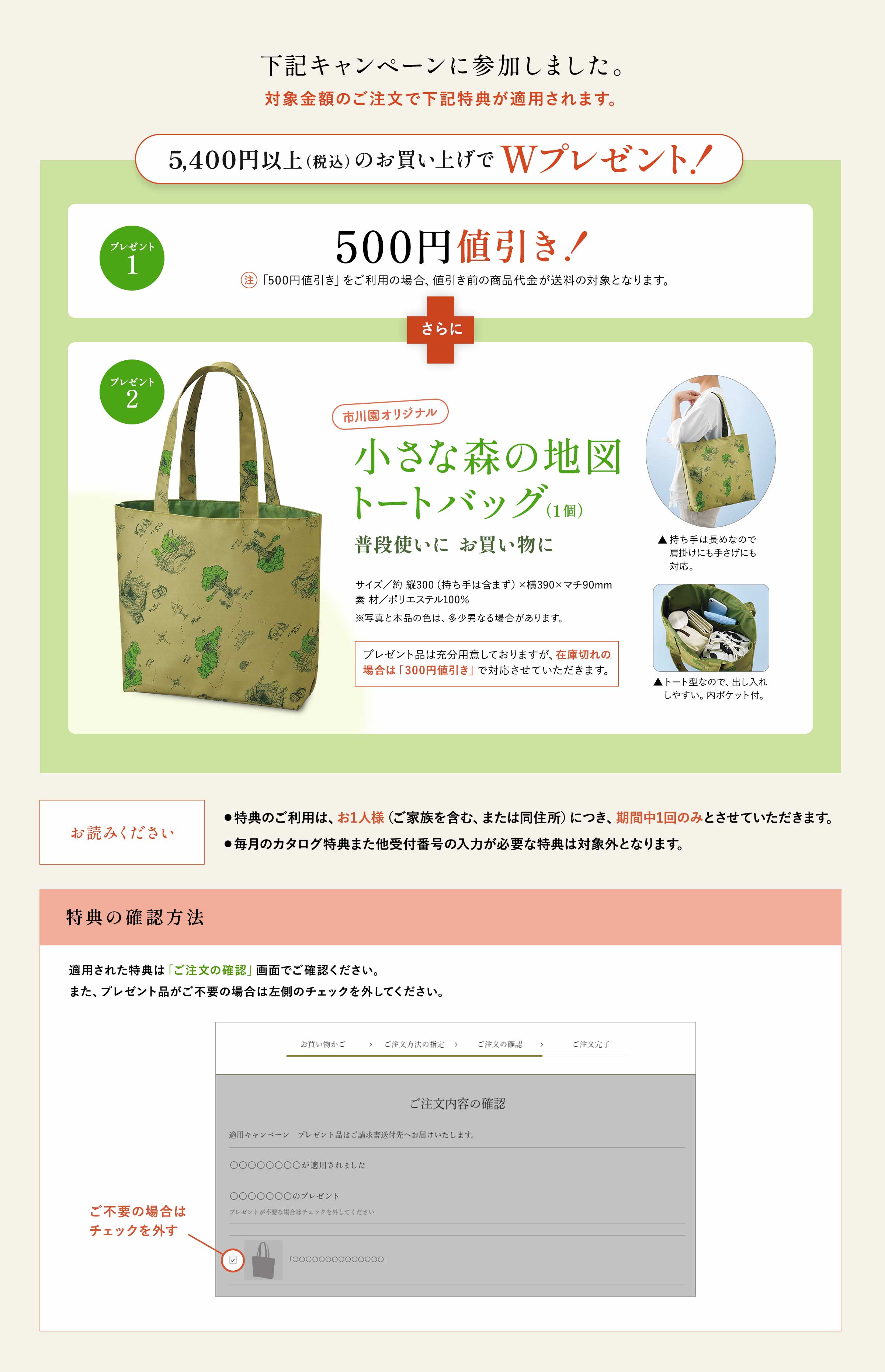 適用キャンペーンの詳細情報