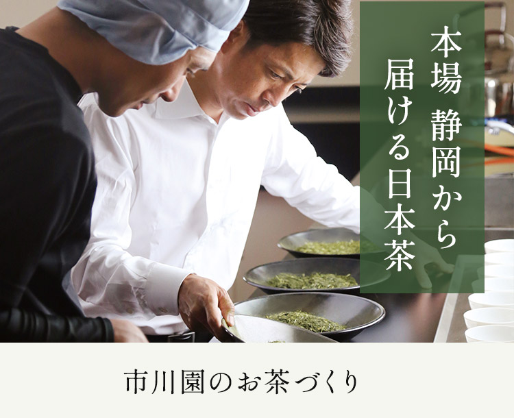 市川園のお茶づくり
