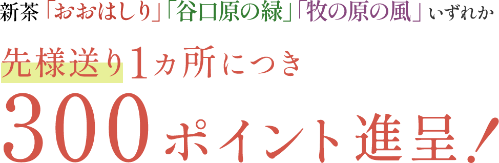 新茶「おおはしり」「谷口原の緑」「牧の原の風」いずれか先様送り1ヵ所につき300ポイント進呈！