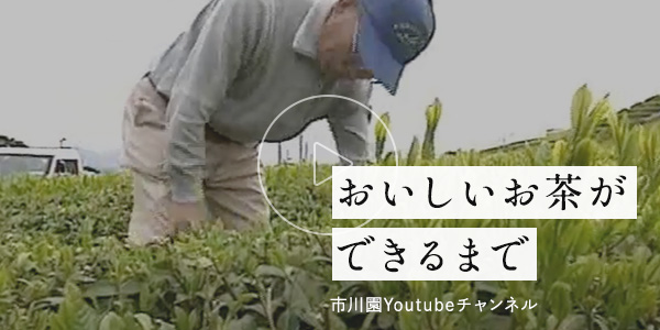 市川園Youtubeチャンネル