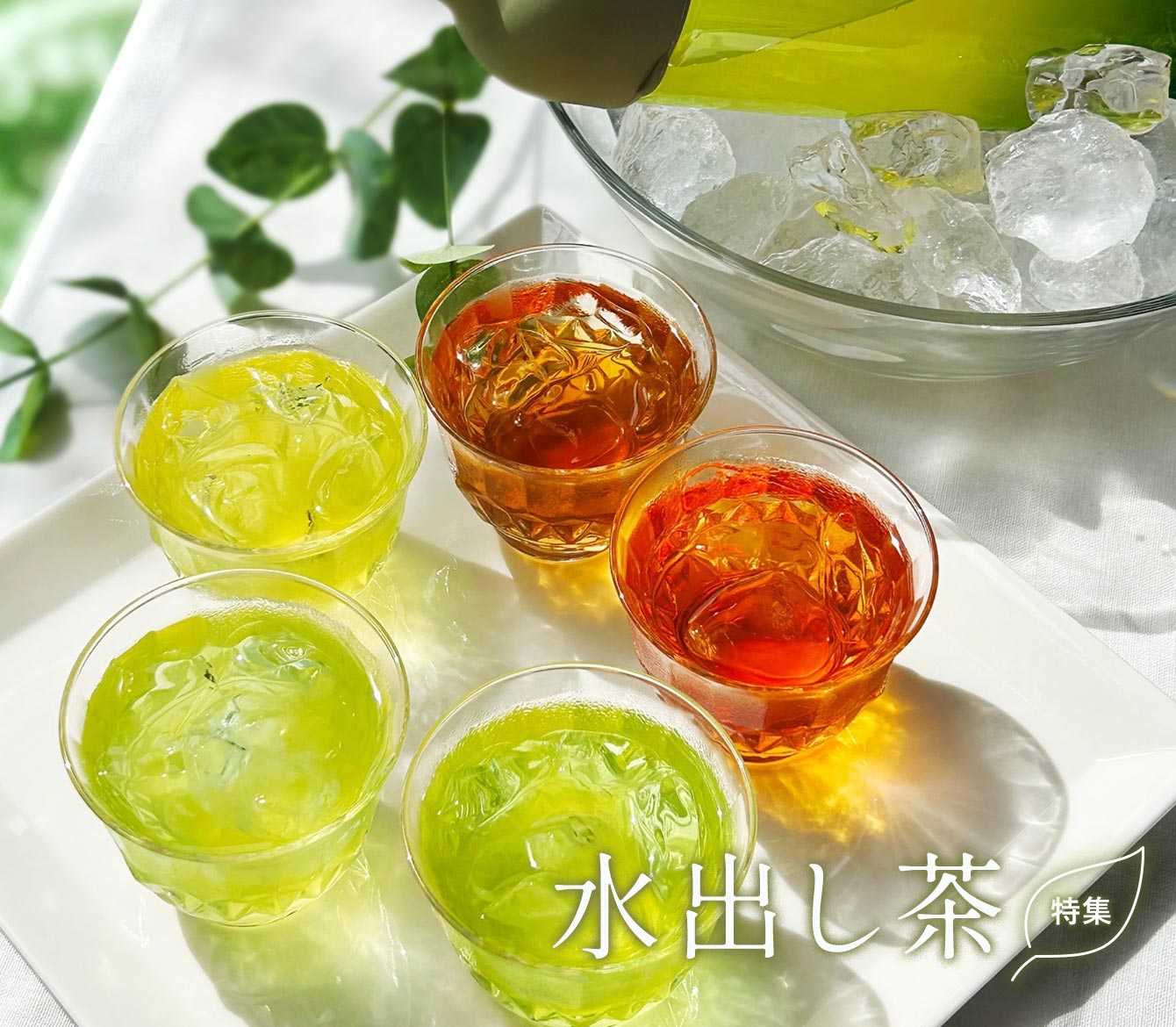 水出し茶