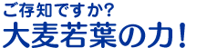 ご存知ですか？大麦若葉の力！