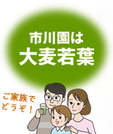 市川園は大麦若葉