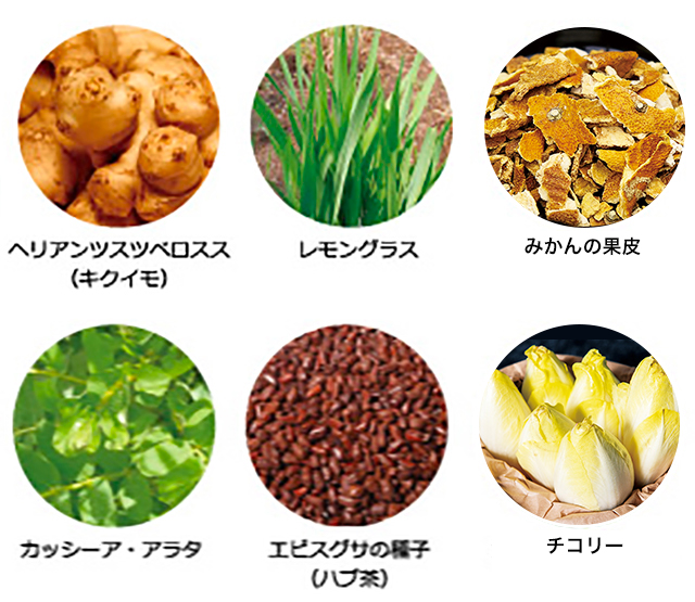 毎日スッキリ茶7（ティーバッグ） 1袋（4g×7個入）の通販｜静岡